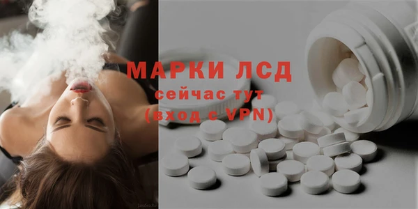 ПСИЛОЦИБИНОВЫЕ ГРИБЫ Костерёво