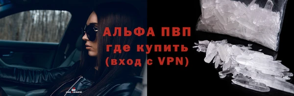 стафф Корсаков