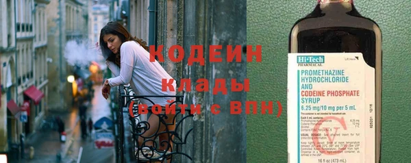 ПСИЛОЦИБИНОВЫЕ ГРИБЫ Костерёво